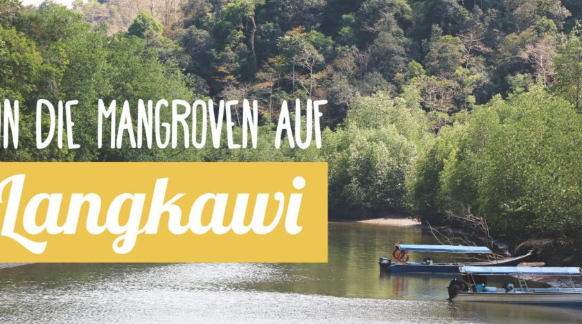 Reisebericht Malaysia: Mangroven