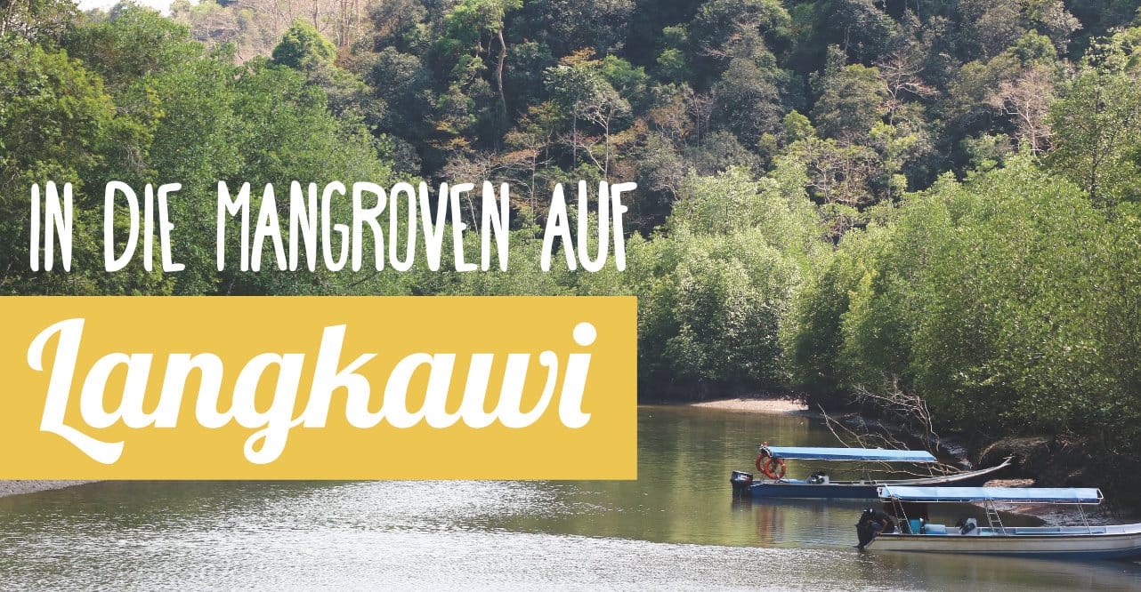 Reiseberichte: in die Mangroven von Langkawi