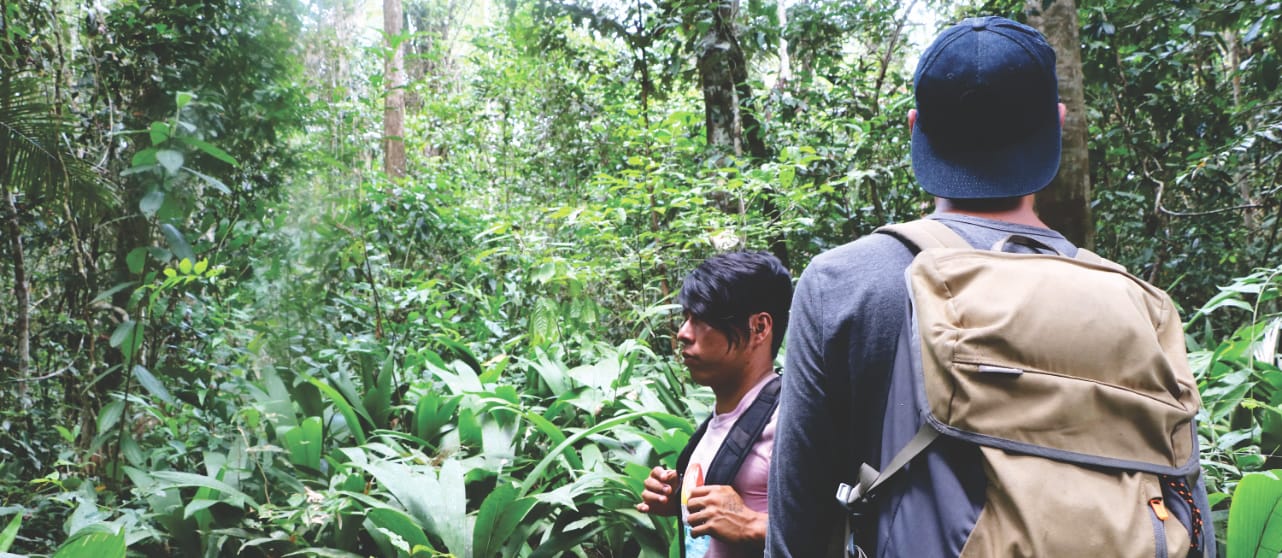 Amazonas Tour in Peru: Lauschen im Regenwald