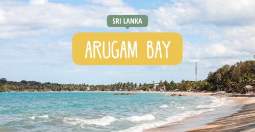 Arugam Bay - Sehenswürdigkeiten, Highlights & Reisetipps
