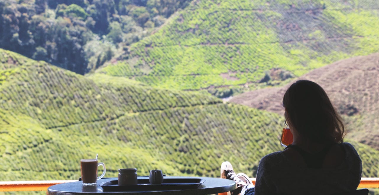 Sehenswürdigkeit - Malaysia: Teehaus in den Cameron Highlands, aber das Kleinere!