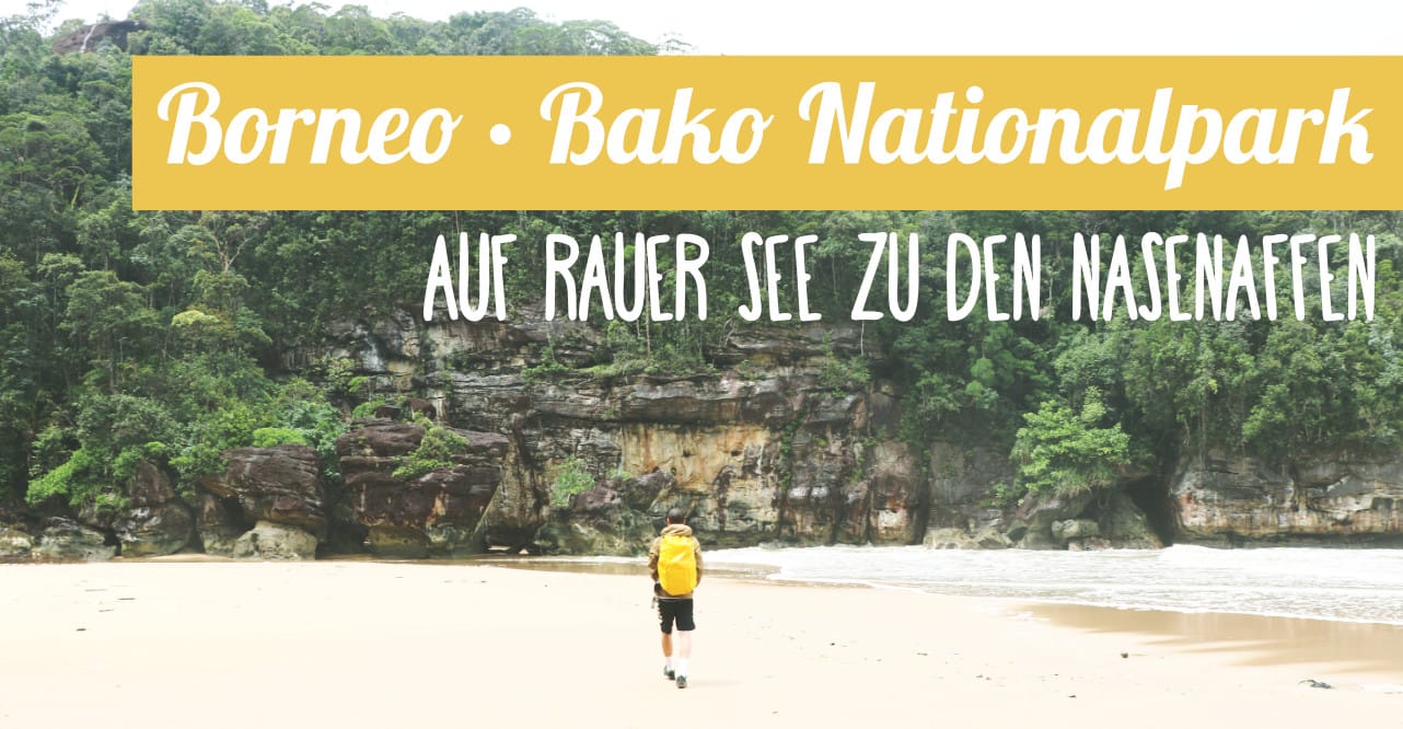Reisebericht: Bako Nationalpark auf Borneo