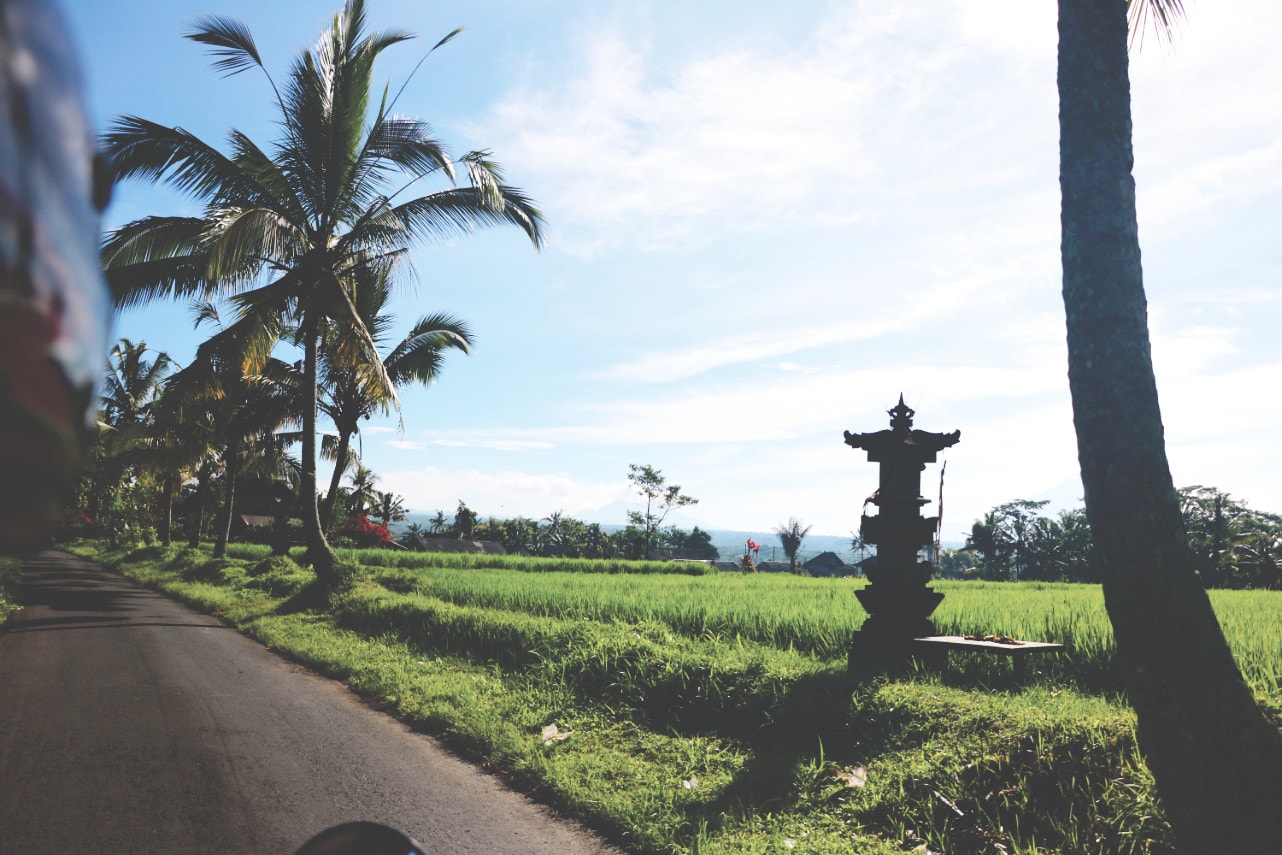 Paradies auf Bali