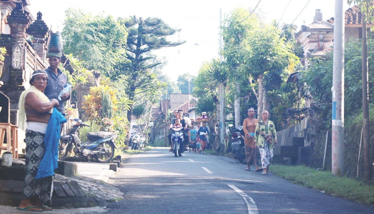 Kleines Dorf auf Bali