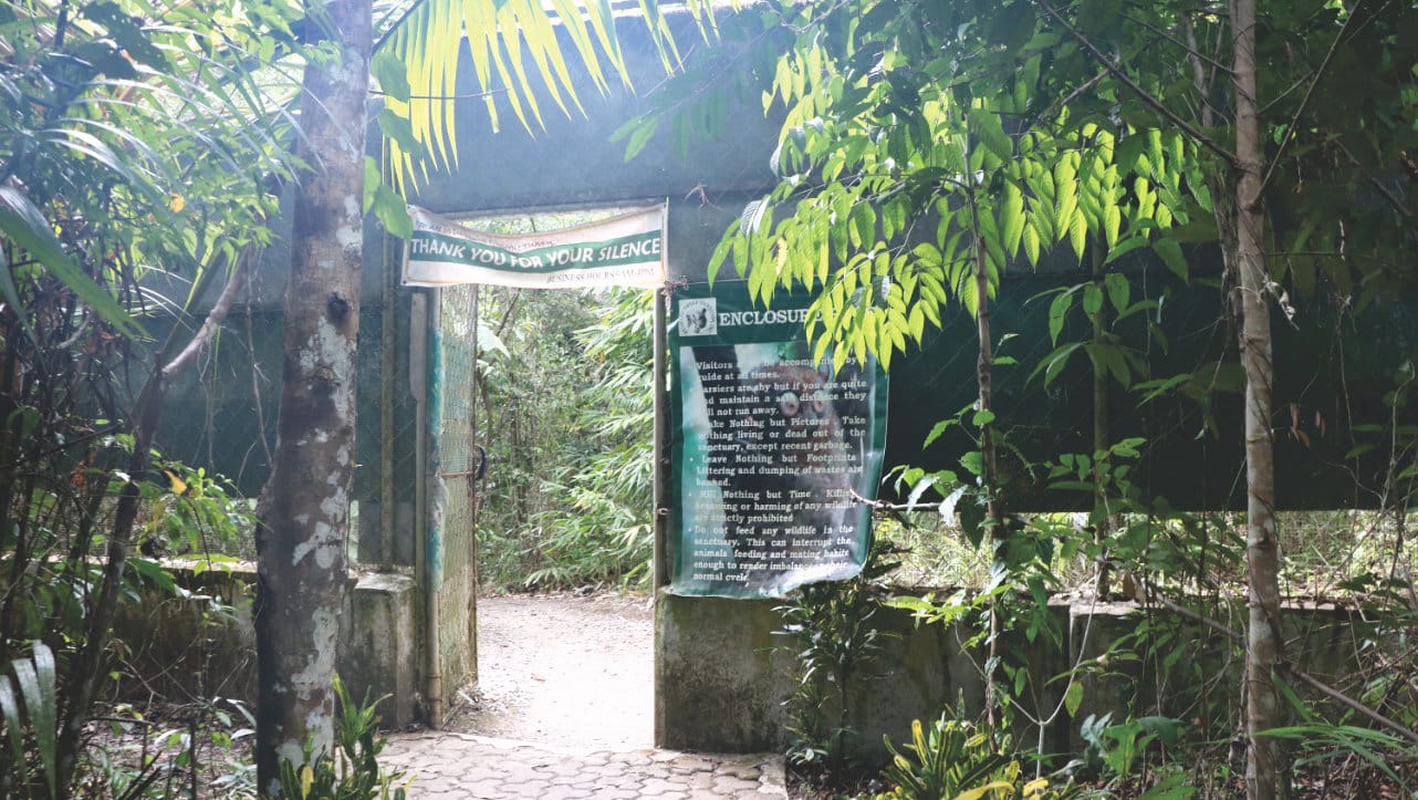 Bohol - Tarsier Sanctuary