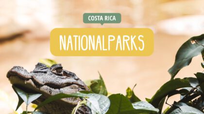 Costa Rica - Reisetipps, Insidertipps, Highlights - Nationalparks