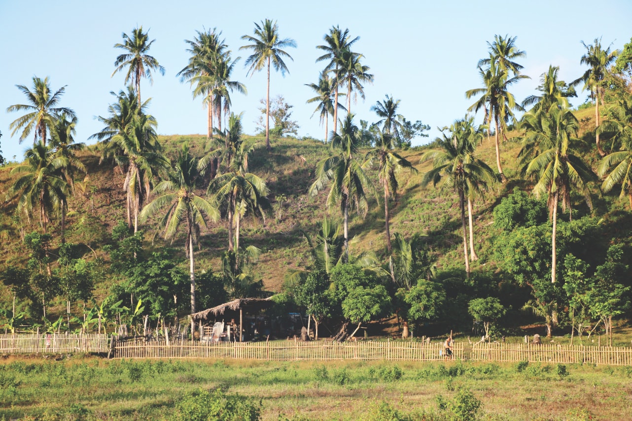 Dorf auf den Philippinen: Donsol