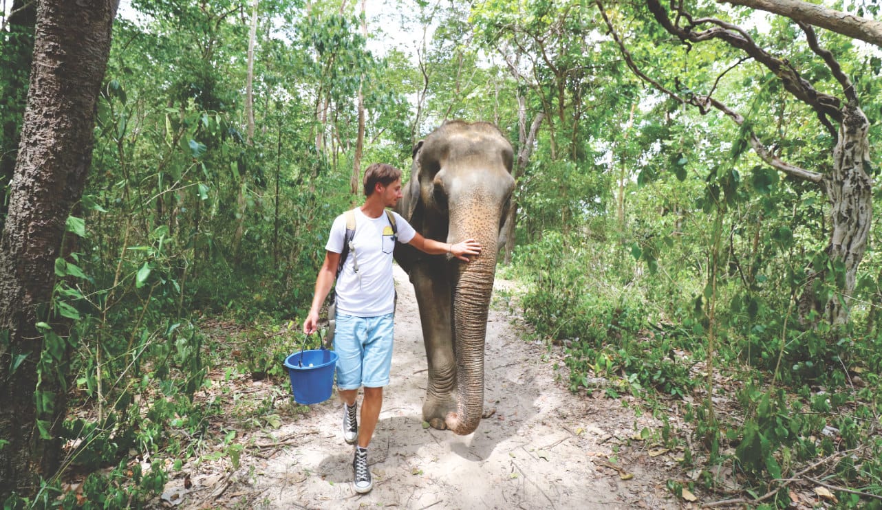 Spaziergang mit Elefant