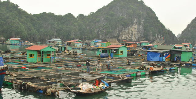 Schwimmendes Dorf in der Halong Bucht