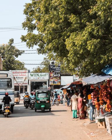 Jaffna - Sehenswürdigkeiten & Highlights - Markt mit Obst und Gemüse