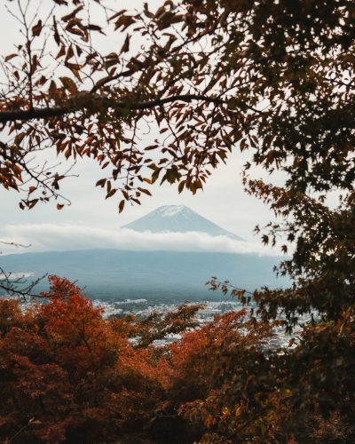 Japan Reiseblog und Reisetipps - Reisezeit