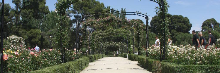 Madrid Sehenswürdigkeiten: El Retiro Park 