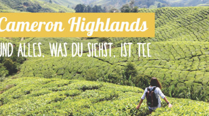 Cameron Highlands in Malaysie Reisebericht