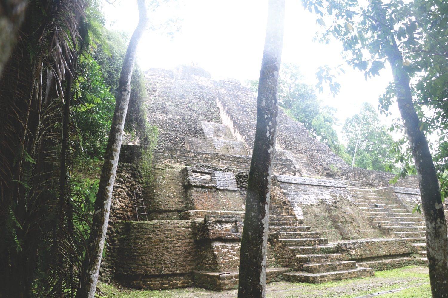 Tour zur Maya Ruine in Belize