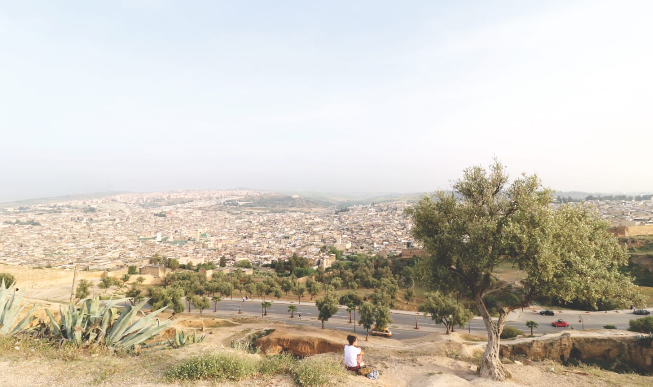 Viewpoint auf die Medina von Fes