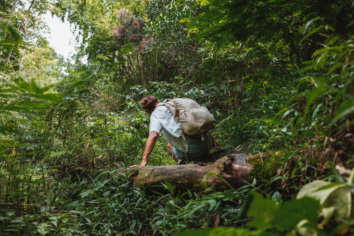 Wanderweg in Munduk zu Wasserfall