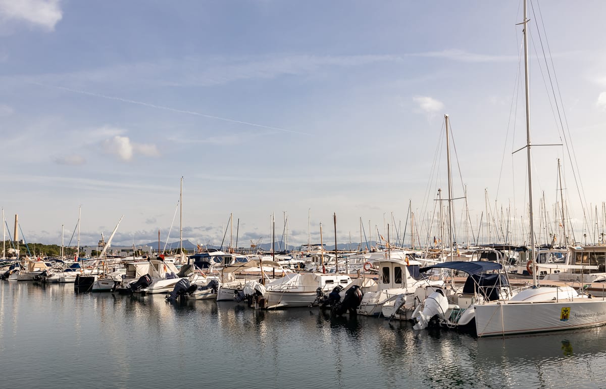 Port Alcudia - Reisetipps für Mallorcas Norden - Hafen