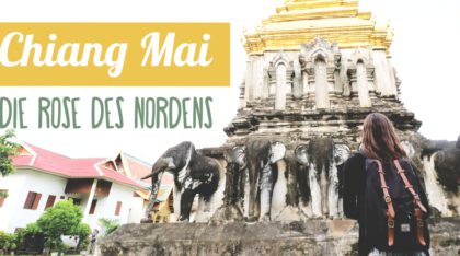 Reisebericht Chiang Mai