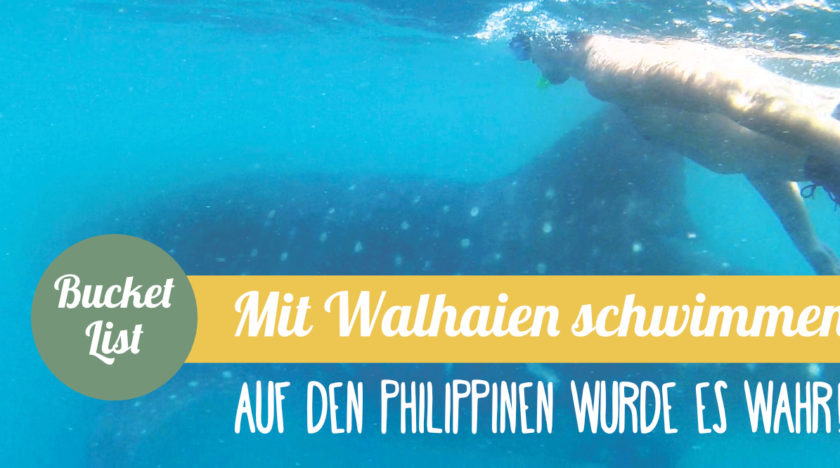 Reisebericht Philippinen: Mit Walhaien in Donsol