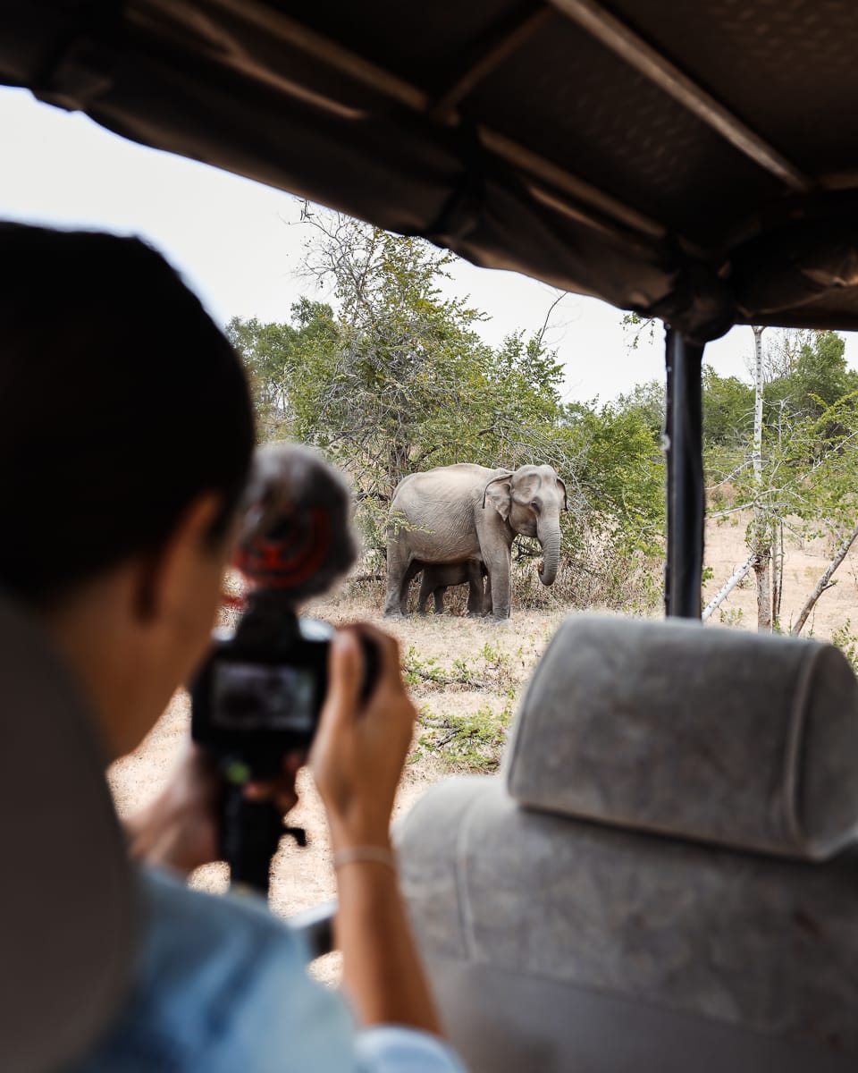Sri Lanka - Sehenswürdigkeiten & Highlights - Nationalpark Safari