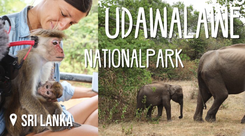 Sri Lanka Video: Udawalawe Nationalpark
