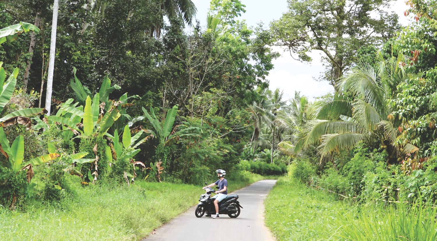 Fortbewegung auf Sulawesi -Moped und Motorroller