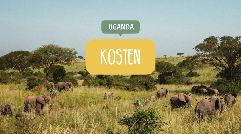 Uganda Kosten