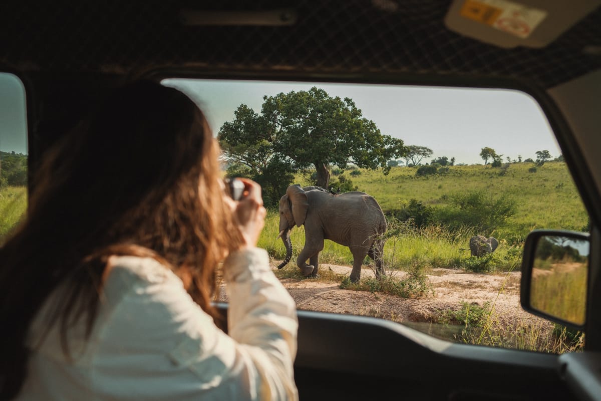 Uganda Nomads - Self-Drive-Safari mit Elefanten Uganda Nomads - Self-Drive-Safari mit Elefanten