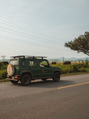 Uganda Reisetipps - Beste Reisezeit für Rundreise