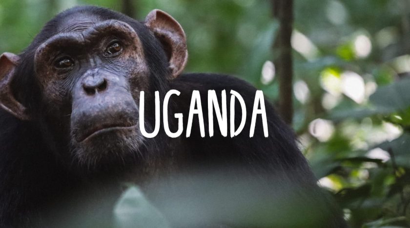 Uganda Reisetipps - Guide für deine Rundreise