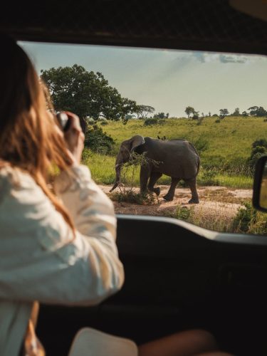 Uganda Reisetipps - Selbstfahrer Safari