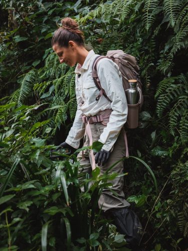 Uganda Reisetipps - Trekking im Dschungel