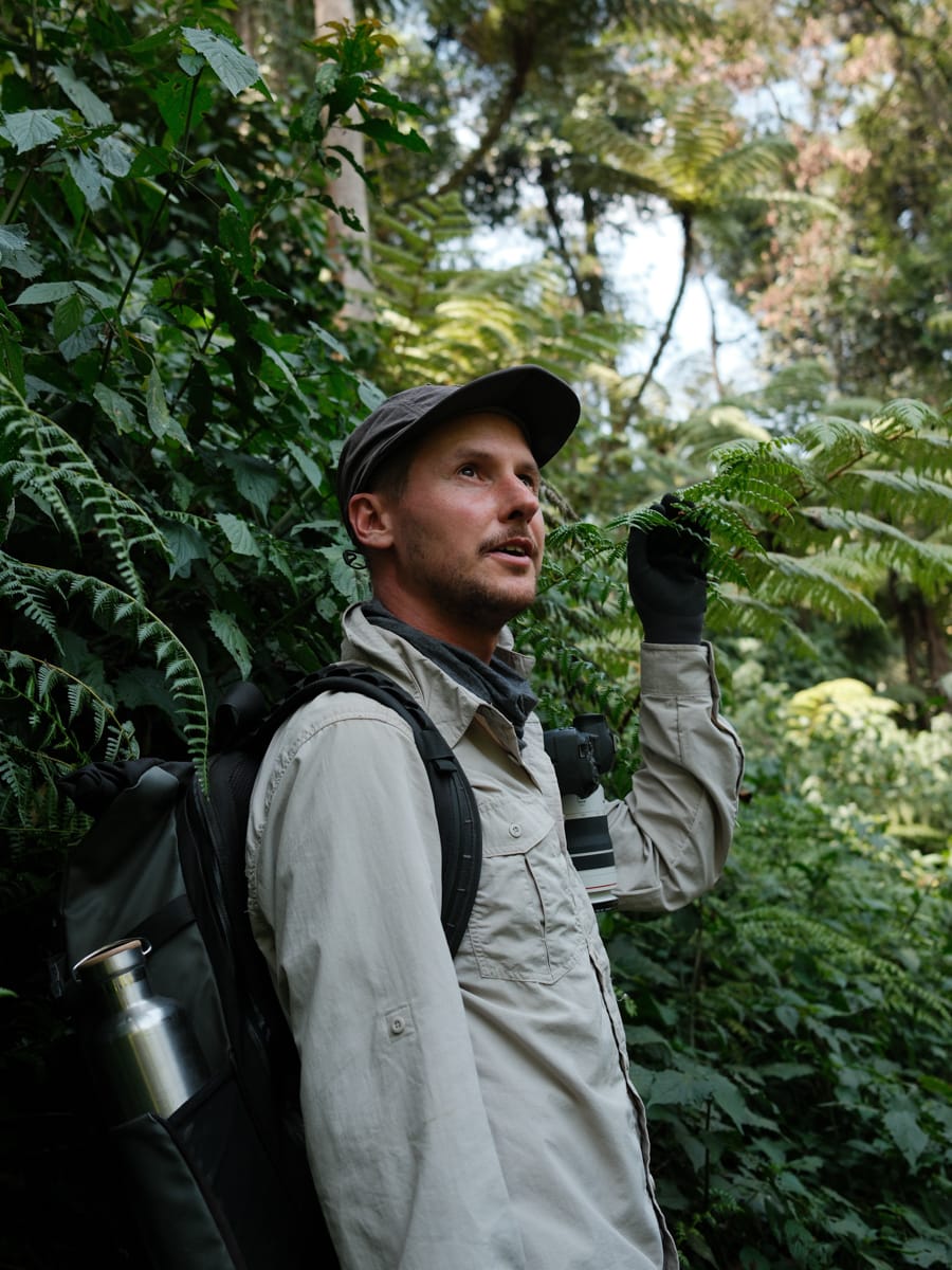 Uganda Reisetipps - Trekking im Dschungel